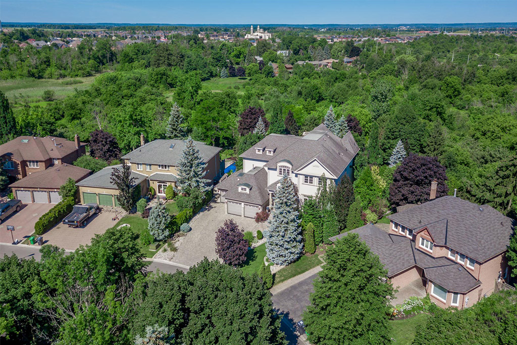 Aerial photography of homes surrounded by greenery